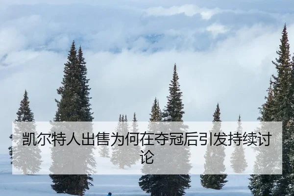 kai-er-te-ren-chu-shou-wei-he-zai-duo-guan-hou-yin-fa-chi-xu-tao-lun-2-800.jpg